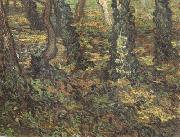 Vincent Van Gogh Tree Trunks with Ivy (nn04) Sweden oil painting artist